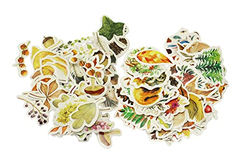 ̵navire İ  ե쥤 216     ƥå