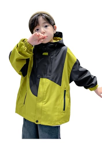 ̵[HOLRAFAN] å ޥƥѡ  㥱å ˤλ λ ѡ ɥ֥졼 ադ ɥ֥졼 ...