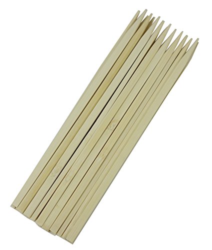 【送料無料】キャプテンスタッグ(CAPTAIN STAG) バーベキュー用 串 竹製 竹串