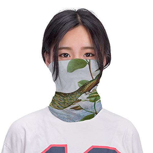 【送料無料】三菱化学 2HDV40EC 2HD DOS/Vフォーマット 40枚