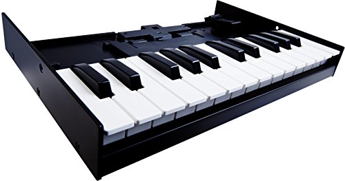【送料無料】ローランド Keyboard Unit K-25M Roland Roland Bout ...