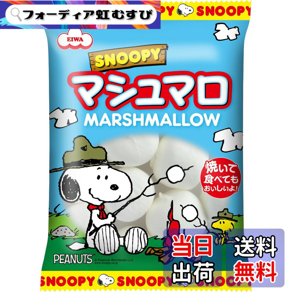 【送料無料】エイワ スヌーピービッグマシュマロ 65gx12入