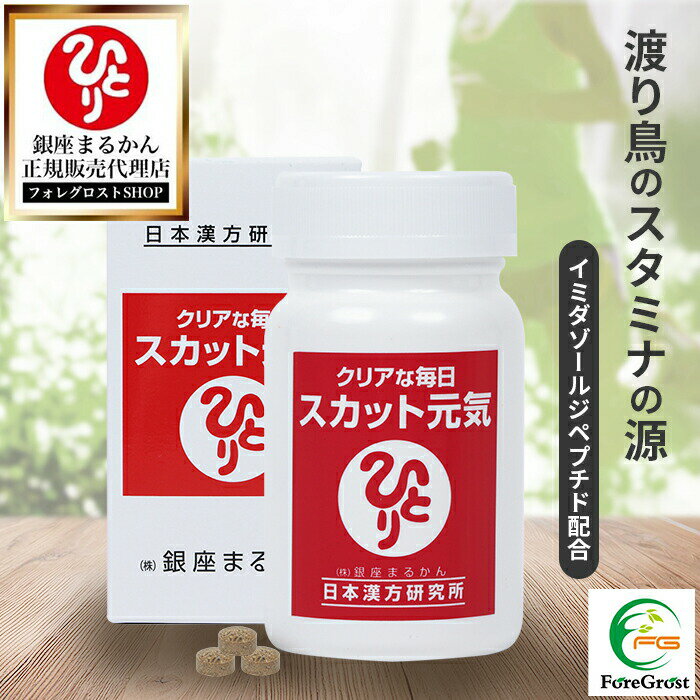 【まとめ買いクーポン配布中】銀座