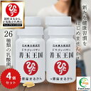 【まとめ買いクーポン配布中】銀座まるかん ドラゴンパワー 善玉王国 124粒 4個セット