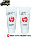 【まとめ買いクーポン配布中】銀座まるかん ひとりさん洗顔フォーム 80g 2本セット