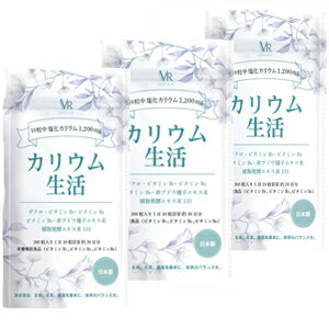 ビクトリーロード カリウム生活