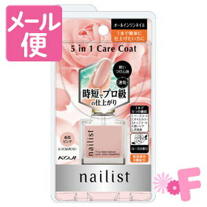 コージー本舗　ネイリスト　ファイブインワンケアコート　10ml［クリックポスト対応］