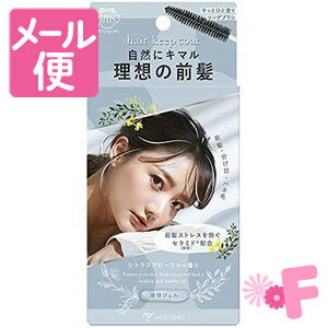 マイサロン　ヘアキープコート　9g［ネコポス対応］