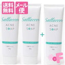 ★SALE特価★プラス1本おまけ付![クリックポスト送料無料...