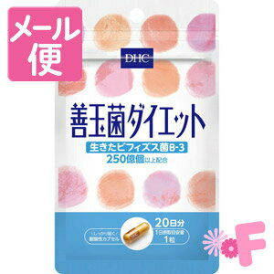 ネコポスで送料190円 Dhc 善玉菌ダイエット粒 ビフィズス菌 日本樂天 Myday代標代購網 海外購物第一站