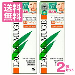 【送料無料】小林製薬　オードムーゲ 薬用ローション （ふきとり化粧水） 500ml×2本セット 【医薬部外品】 ［まとめ買いでオトク］［配送区分:A］