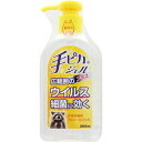 手ピカジェルプラス 300ml(配送区分:A2)