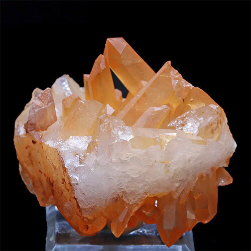 D452-2ͥȻ 󥸥󥯥 饹 ޥ󥯥 Tanjerine Quartz ̪徽ڥ᡼Բġ