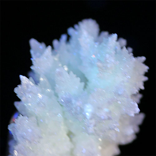 〔D255-51〕珍しい 極上品 アラゴナイト フロスフェリ 鉄の華 蛍光鉱物 メキシコ・チワワ州産 結晶 原..