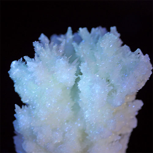 〔D255-54〕珍しい 極上品 アラゴナイト フロスフェリ 鉄の華 蛍光鉱物 メキシコ・チワワ州産 結晶 原..