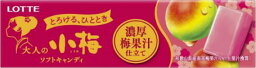 【レビュー投稿でプレゼント】　ロッテ　大人の小梅＜濃厚梅果汁仕立て＞　10粒入り　6個セット