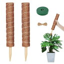 FO:モンステラ 支柱 観葉植物 園芸支柱つる性植物 観葉植物 ココナッツ支柱 植物サポート フラワースタンド 花支え ガーデニング支柱 農業用 園芸用 (2個...