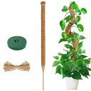 FO:園芸支柱 観葉植物モンステラ 支柱 ヘゴ支柱つる性植物 ココスティック支柱 植物サポート 維持水分 養分維持 ココナッツ支柱 ガーデニング支柱 農業用 園...