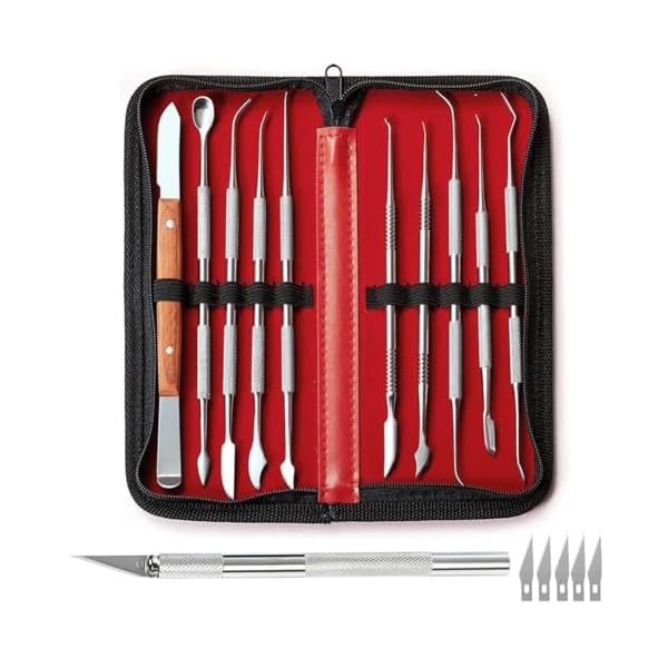 スパチュラ セット 造形 粘土細工 ステンレス製 ヘラ 11本セット 初心者?上級者 専用ケース付き 収納ケース付き