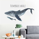 FO:ウォールステッカー クジラ 大型 humpback whale 海洋生物 ステッカー おしゃれ 子供 部屋 寝室 書斎 リビングルーム ベッドルーム 背景の壁 防水 はがせる ウォールシール 壁紙 シール