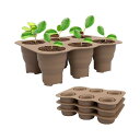 FO:4個セット 育苗コンテナー 育苗ポット シリカゲル 育苗トレー 育苗ポット 育苗箱 植物発芽トレイ 移植トレイ 6穴種蒔き発芽育苗器 発芽 育苗セット 育...