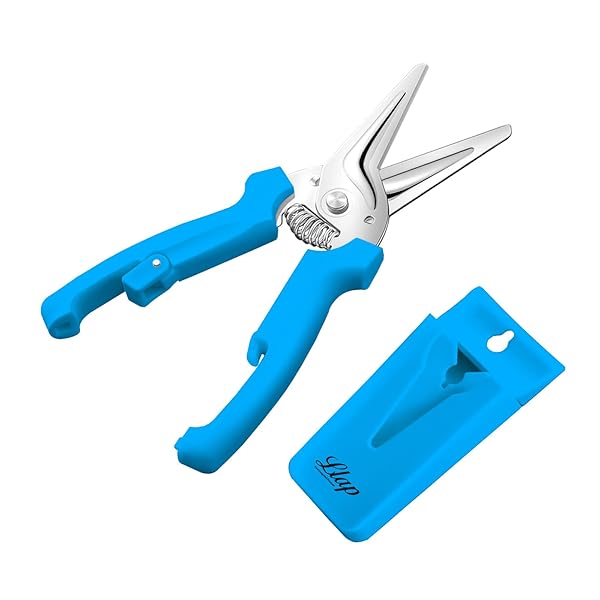 ̵ۥåХ ޥϥ Ф  Ļι ʬ б Ĵå Ȥޤ о߷ ݡȥХդ  ...