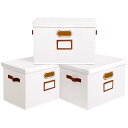 FO:収納ボックス33x23x20cm 3個組収納ケース ふた付き大容量 衣類収納ボックス折りたたみ式 収納ケース PUハンドルとソートラベル付きおもちゃ 衣類 雑誌 収納 防塵 防湿 無臭(ホワイト)