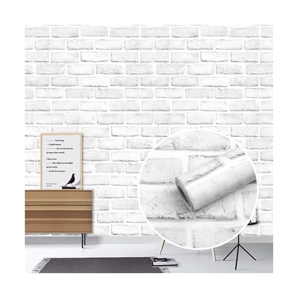 ̵ɻ楷 ᥤ  20m Ʃʤ  ̲ ɻ  ɤŽä å ȥ쥤  ɿ  di...