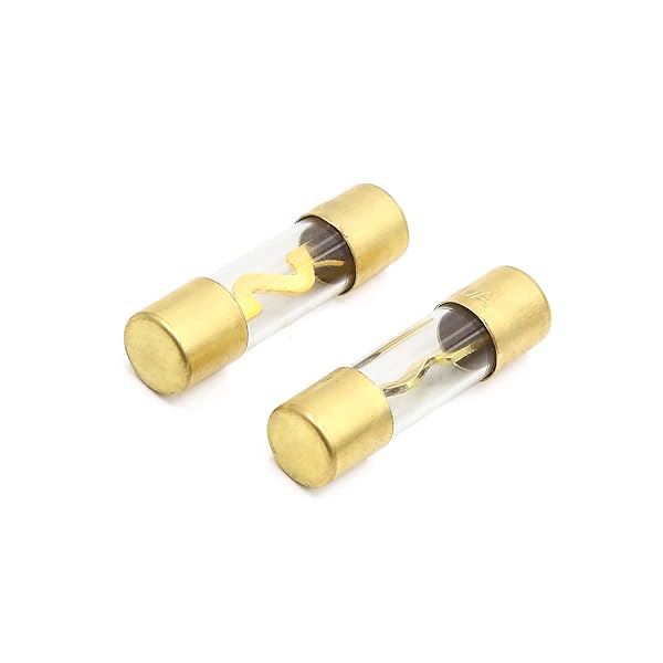 【送料無料】ヒューズ 40A AGU ガラス管ヒューズ インラインパワーヒューズ ユニバーサル カーオーディオラジオステレオ保護用 ゴールドトーン 2個