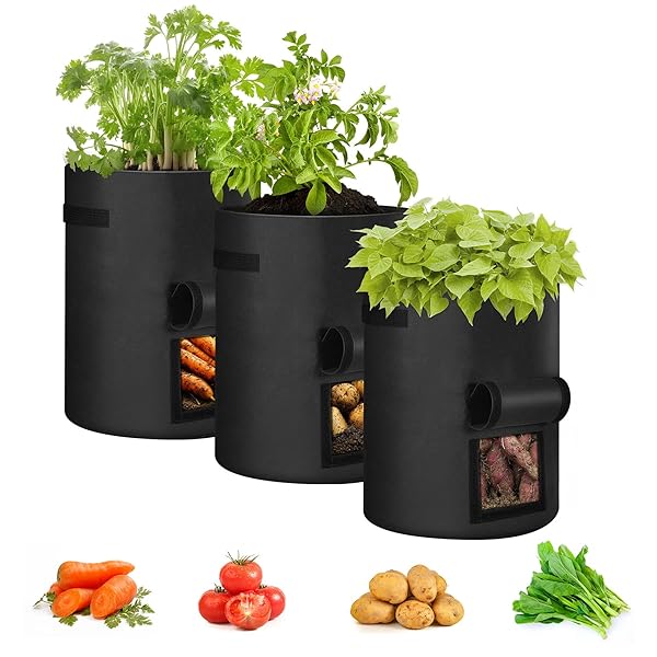 不織布ポット10ガロン不織布プラン...