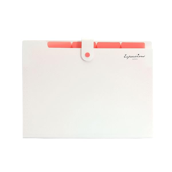 【送料無料】書類ホルダー オルガンパック ベーシック ファイルケース ドキュメントファイル 収納ケース ファイルフォルダー A4 5分類 仕切りフォルダー 大容量 ハンドバッグ 拡張フォルダ 教室 オフィス 学生紙袋 事務用品 (ホワイト)