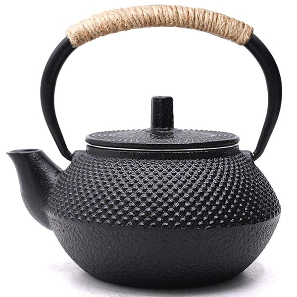 【送料無料】鉄瓶 鉄器 急須 ホーローなし 鉄分補給 茶こし付き おしゃれ ティーポット ih直火 対応 300ml