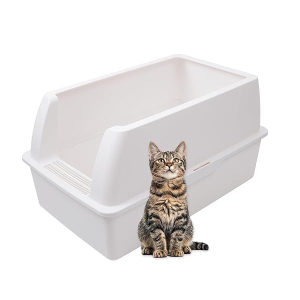 ̵ǭȥ졼 Űɻ ⤤ɤǭϳ쥼 ǭä ñ ǭѶ (75cm) [¿Ƭˤ] [祵 75...