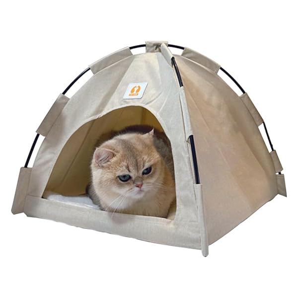 ̵ǭ٥å ǭϥ ǭƥ ڥåȥƥ ڥåȥ٥å ɡ ̵  ڥåȥۥ åդ ǯ Ѥ 곰ǽ ...