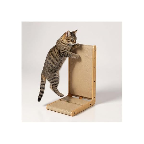 ̵ǭǭİǭޤȤǭѥܡǭޤȤLǭդǭߥ (L50*25*25cm)