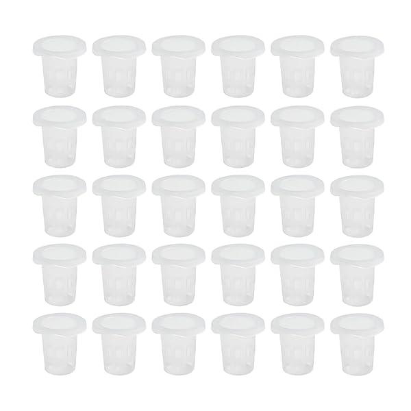 【送料無料】水耕栽培鉢 定植かご プラスチックメッシュポット 水耕栽培ポット 園芸 庭園 ガーデンニング 植物栽培 有機栽培 水培養 スポンジ付き 水培養 花盆 定植育苗かご 30個セット (ホワイト)