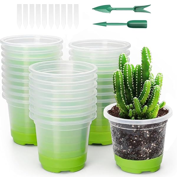 【送料無料】育苗ポット 24個セット 種子トレイ 育成ポット 鉢 ソフトシリコンベース 新芽の移植が簡単 発芽育苗 セット 種まきハウス 野菜・花の育苗用 多肉植物 園芸用品 家庭菜園 通気性 再利用可能 丸型 (10CM-24個セット)