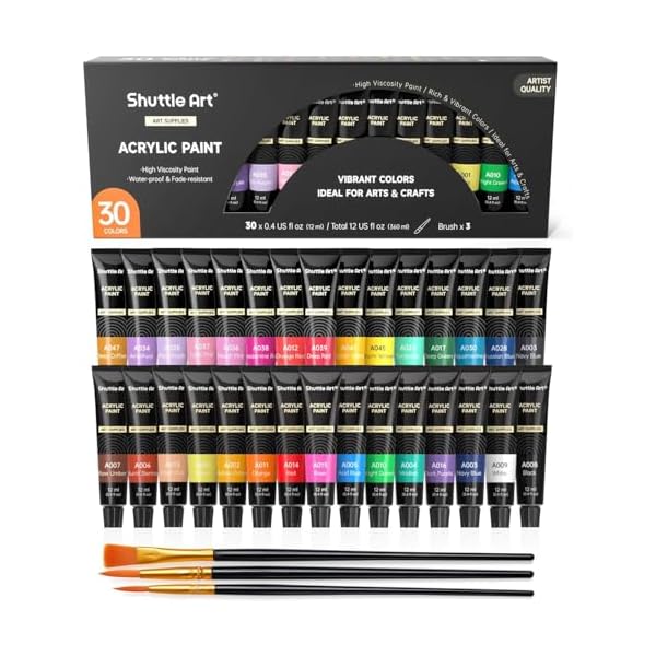 【送料無料】アクリル絵の具 30色 チューブ 耐久性 速乾 防水 手作り 手軽 ブラシ付属 木/壁/陶器/ズックに描ける 子供用 イラスト 塗り絵 クラフト 美...