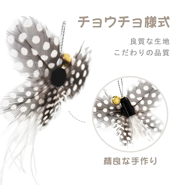 ������̵����ǭ ������� ǭ����餷 ���� �ͤ���� ���� ĳ�� �������� 8�ĸ���