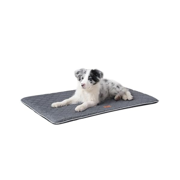 【送料無料】防湿ペットマット犬用マット四季通用ペットマット、取り外して洗えるペットマット夏用ベッ..
