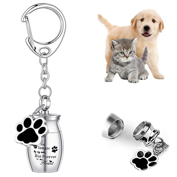 【送料無料】ミニ骨壷 遺骨入れ 納骨容器 犬 猫 ステンレス製 メモリアルキーチェーン 密封性 防湿 防水 分骨用 遺灰 収納 小鳥 小動物 適用 銀色 1pc...
