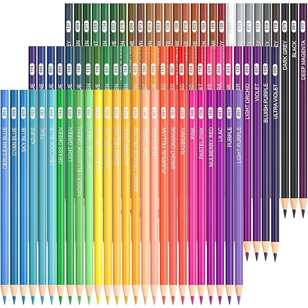 【送料無料】色鉛筆 80色セット カラーペン 大人の塗り絵 イラスト デザイン スケッチ 落書き 紙函 収納便利 子供 初心者 入園・入学お祝い プレゼント