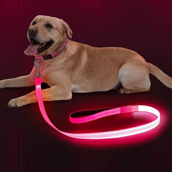 LED 発光 リード 犬 散歩 ライトドッグリード 1.2m 高輝度 光るリード 視認距離500m