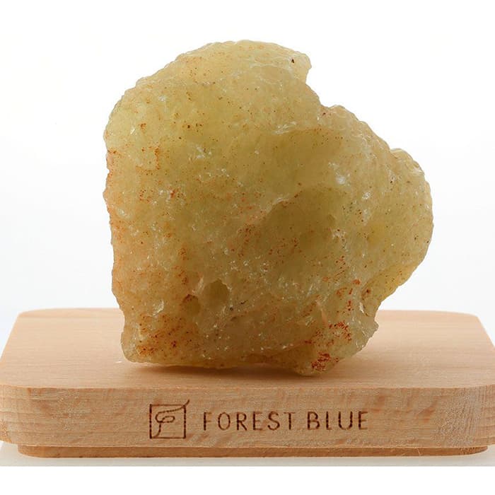 ӥ󥰥饹  No.34 [ ʪʪ ] ѥȡ ŷ FORESTBLUE ե쥹ȥ֥롼6895