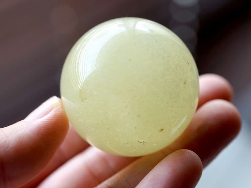 ��ӥ��󥰥饹 �ݶ̡����ե��� 44.5mm�� No.4 �ʴ��̽��ա� [ ������ʪ������ʪ ] �ѥ���ȡ��� ŷ���� FORESTBLUE �ե��쥹�ȥ֥롼��7269��