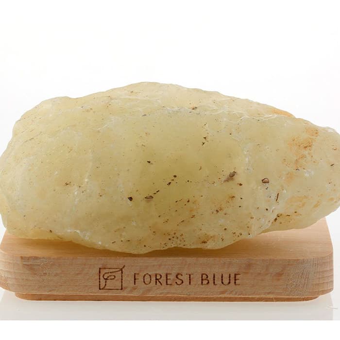 ӥ󥰥饹  No.38 [ ʪʪ ] ѥȡ ŷ FORESTBLUE ե쥹ȥ֥롼7274