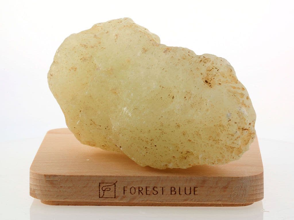 ��ӥ��󥰥饹 ���� No.38 [ ������ʪ������ʪ ] �ѥ���ȡ��� ŷ���� FORESTBLUE �ե��쥹�ȥ֥롼��7274��