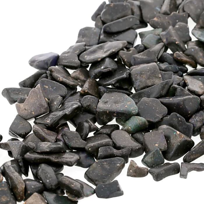 ֥åѡ åס100g  ѥȡ ŷ FORESTBLUE ե쥹ȥ֥롼7214