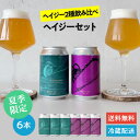 フォレストブルーイング クラフトビール ヘイジーIPL