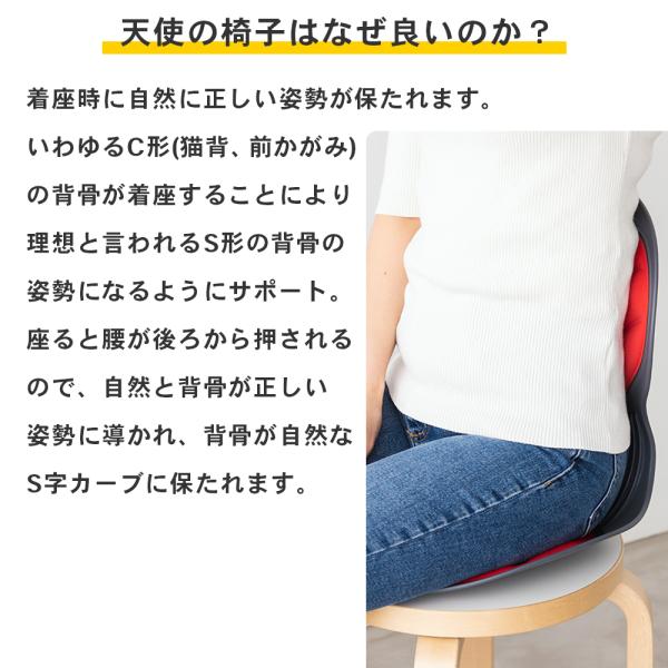 [�ݥ����10�ܡ�����300�ߥ����ݥ�����]��¨Ǽ�ۡ�����̵����DCT ŷ�Ȥΰػ� ���������������������� ���ץ����� �֥�å� DCT-700-BK DCT-700-R ��������Ŭ��